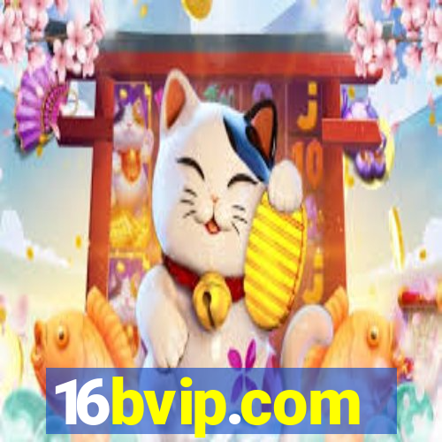 16bvip.com