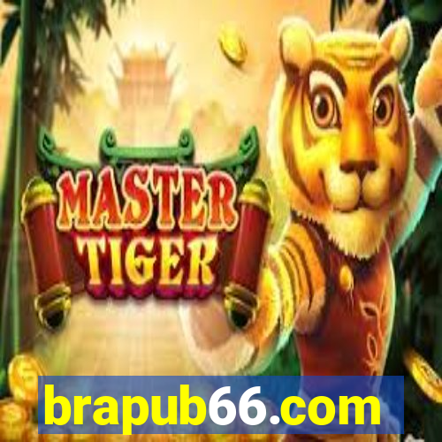 brapub66.com