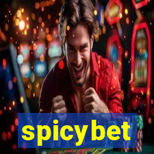 spicybet-1.com