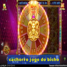 cachorro jogo do bicho